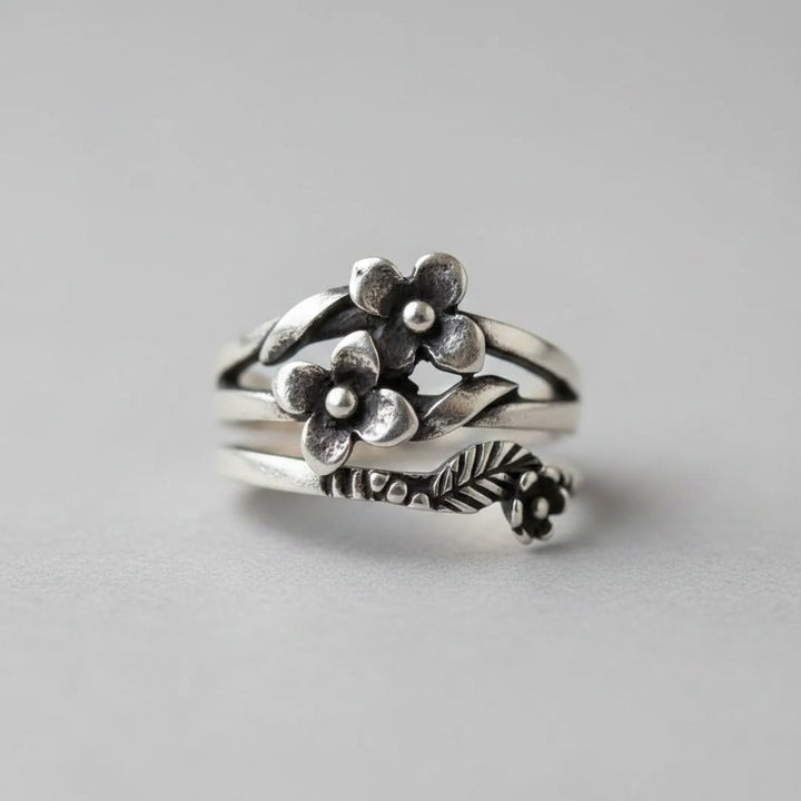 Iliana zilveren ring