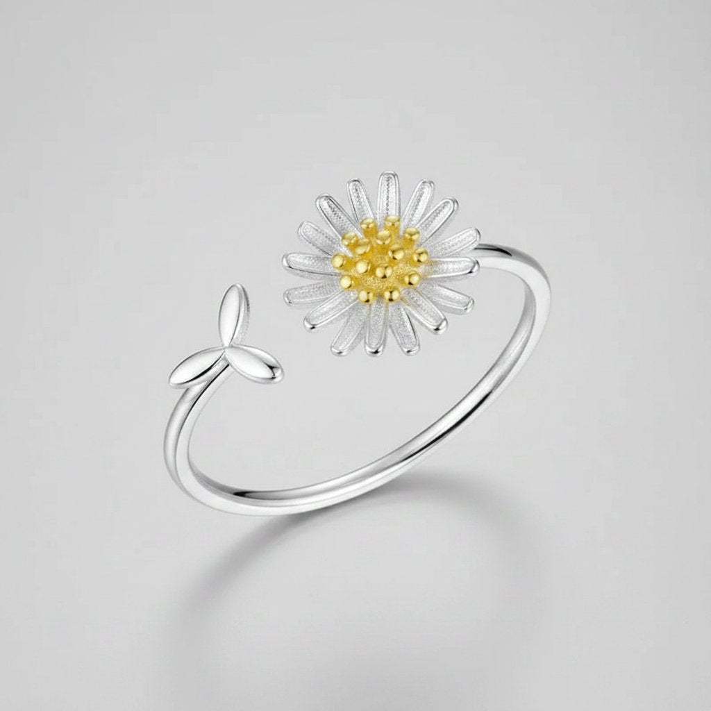 Un anello