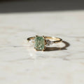 Nerine cirkonio žiedas
