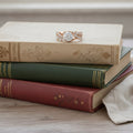 Clemence-ring met zirkonia