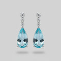 Ilaria Earrings