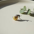Rosalie Gold Earrings