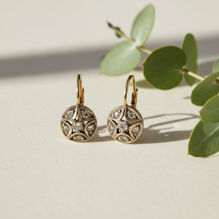 Ophira Crystal Earrings