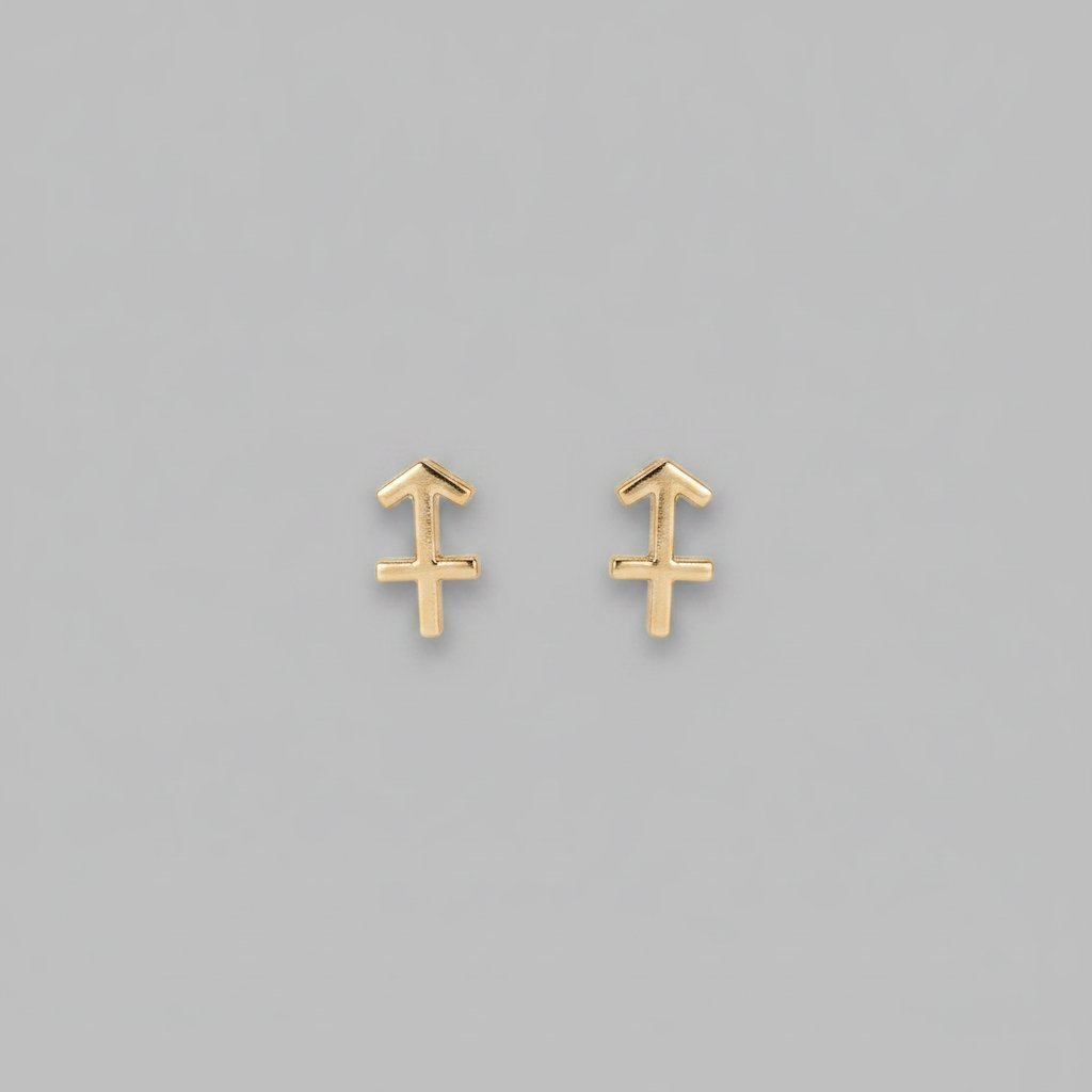 Ximena Earrings