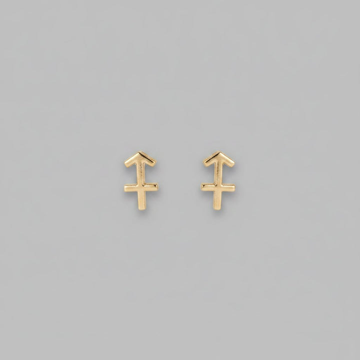 Ximena Earrings