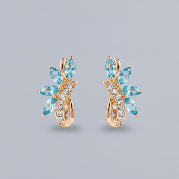 Anouk Crystal Earrings