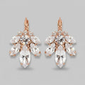 Delphine Crystal Earrings