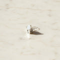 Ninon Earrings
