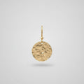 Ninon Gold Earrings