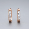Sylvie Zirconia Earrings