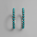Verena Turquoise Earrings