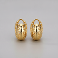 Lioria Zirconia Earrings